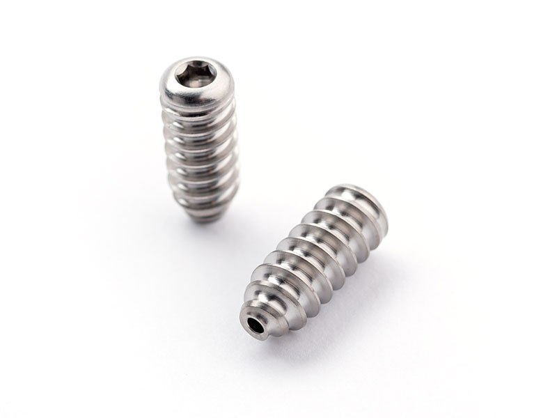 Ti Screws1